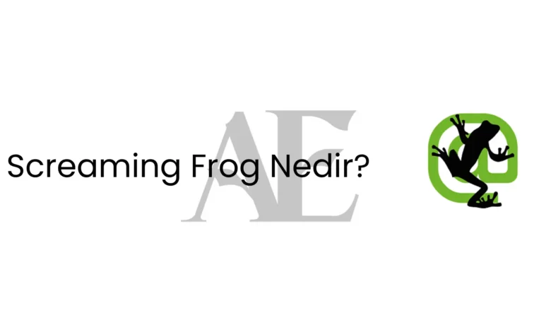 screaming-frog-nedir